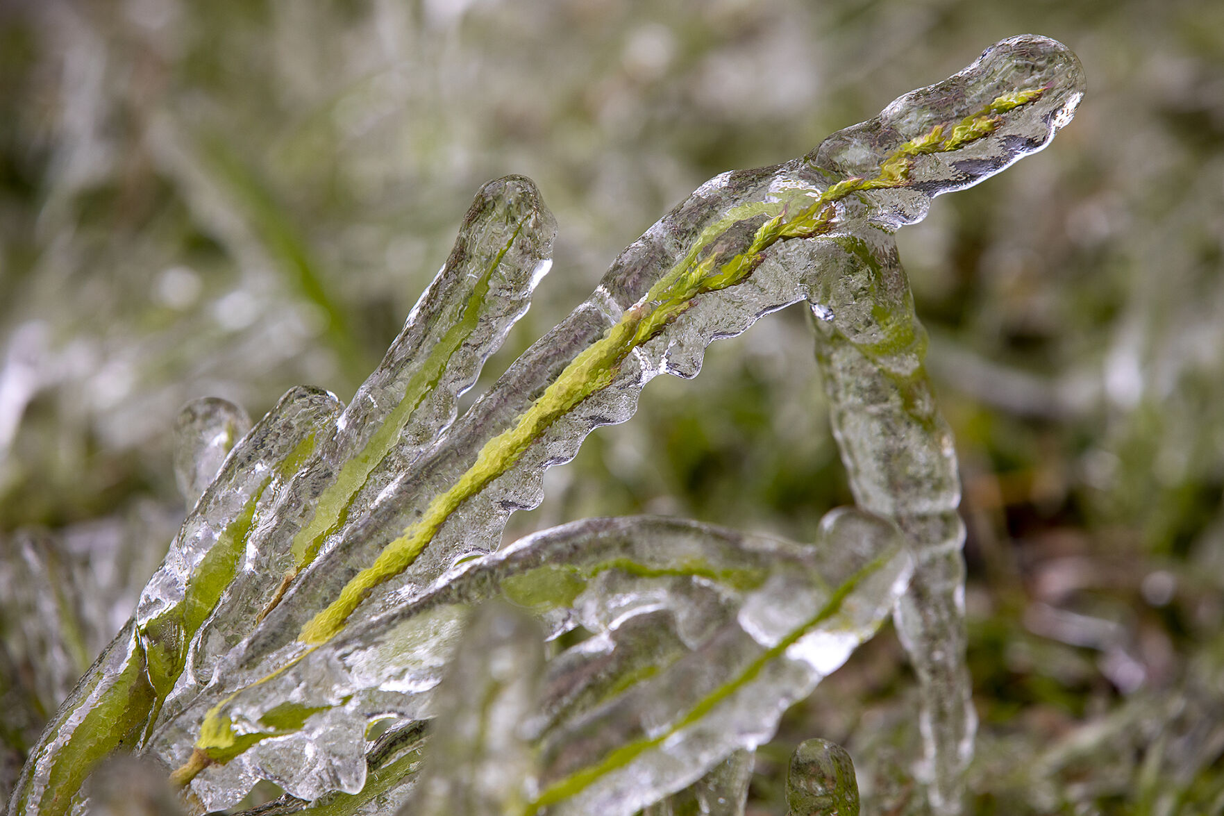 Winter weather